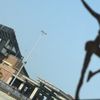 Jones Beach Theater gift card