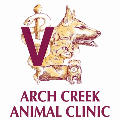 Arch Creek Animal Clinic 15372 W Dixie Hwy North Miami Beach Fl Veterinarians Mapquest