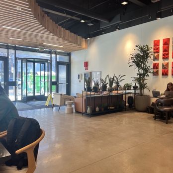 Blue Sparrow Coffee - showing the vibe of this place - Coffee & Tea Near Me - Denver, Colorado Blue Sparrow Coffee - showing the vibe of this place - Coffee & Tea Near Me - Denver, Colorado