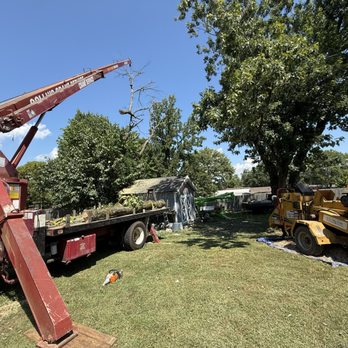 Langford Tree Care - Tree Services Near Me - Hendersonville, Tennessee Langford Tree Care - Tree Services Near Me - Hendersonville, Tennessee