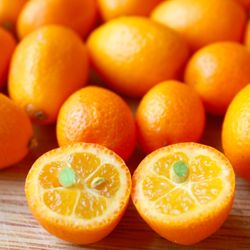 California Tropical Fruit Tree Nursery - Kumquat (Nagami) Fruit Tree (exotic)