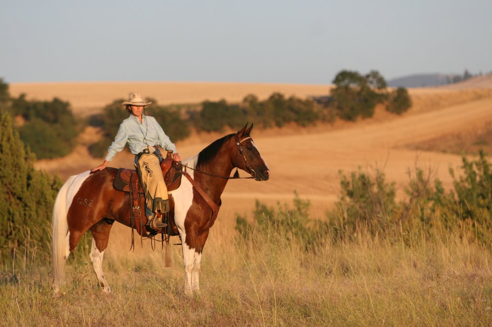 Wild Cowgirl Horsemanship Logo