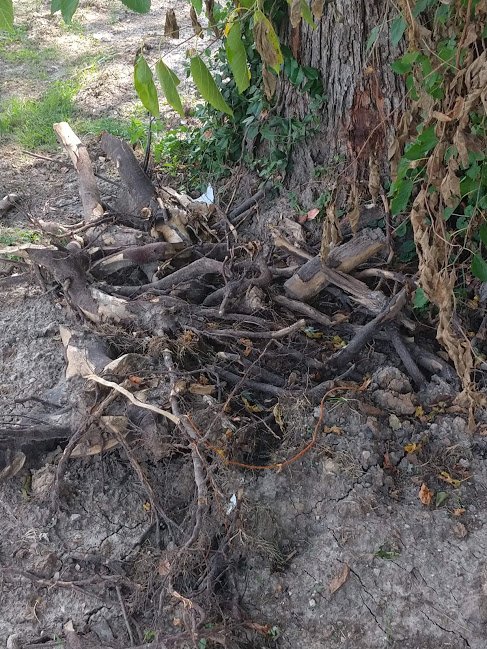 Slide of All American Pumping & Drain