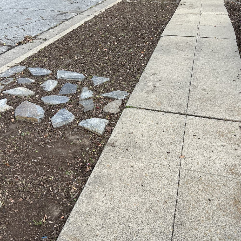Willow Glen Gardening - Gardeners Near Me