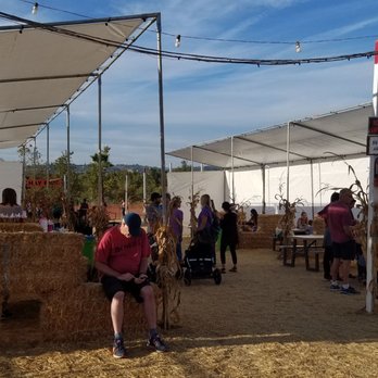 Rancho Bernardo Pumpkin Farm - Snack area - Pumpkin Patches Near Me - San Diego, California Rancho Bernardo Pumpkin Farm - Snack area - Pumpkin Patches Near Me - San Diego, California