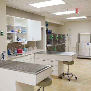 Piperton Pet Hospital - Our treatment center. - Veterinarians Near Me - Piperton, Tennessee Piperton Pet Hospital - Our treatment center. - Veterinarians Near Me - Piperton, Tennessee