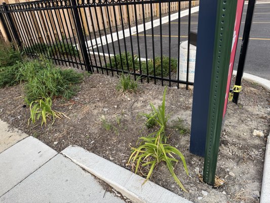 Cozy Corner Restaurant and Pancake House by null