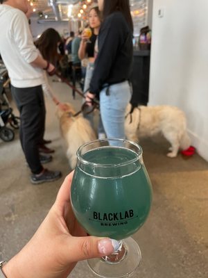 Black Lab Brewing by null