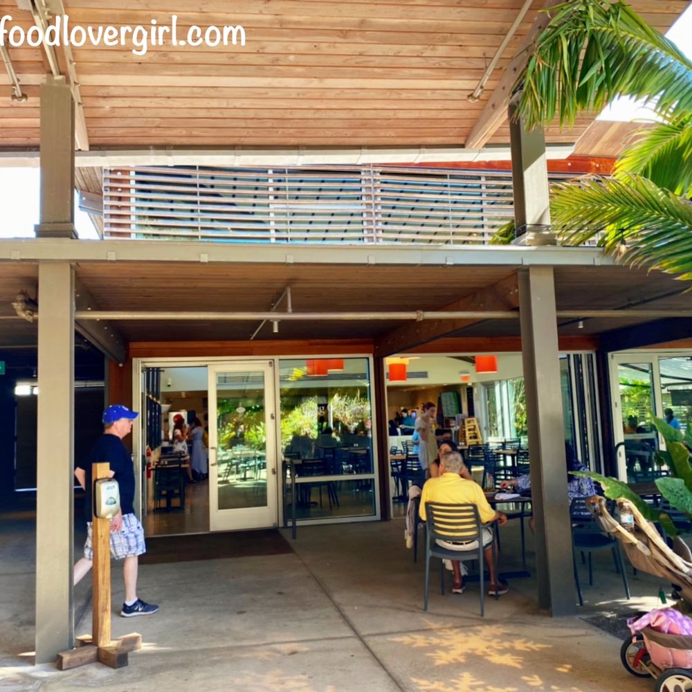 Fogg Cafe - Coffee & Tea Near Me - Naples, Florida Fogg Cafe - Coffee & Tea Near Me - Naples, Florida