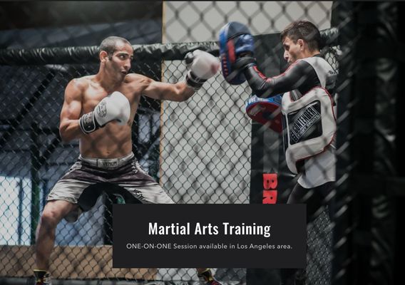 1 to 1 Private MMA training! - 1 to 1 Private MMA training! You'll have the best training of your life! 1 to 1 Private MMA training! - 1 to 1 Private MMA training! You'll have the best training of your life!