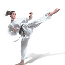 West Los Angeles Karate - Ura Mawashi geri