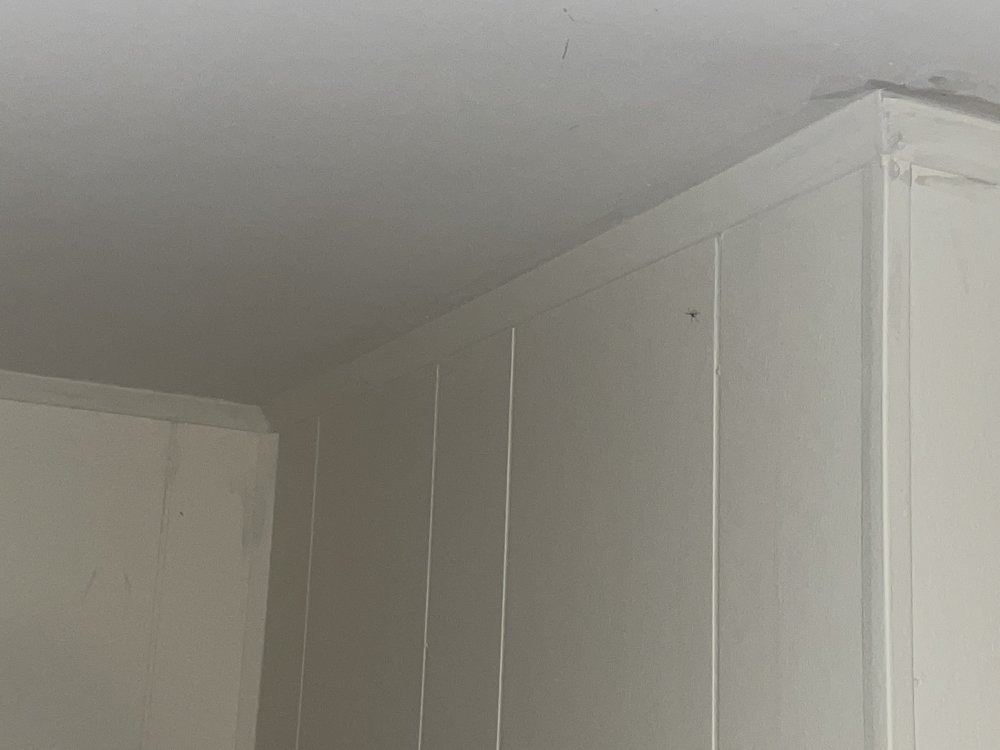 Slide of Redmonds GW