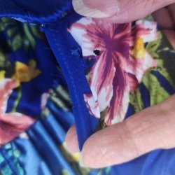 Island Alterations & Dry Cleaners - Back right strap - large holes where she ripped the seam out.