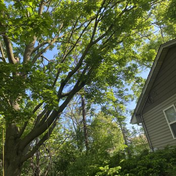 J Medina’s Tree Service - Tree Services Near Me - Montgomery, Illinois J Medina’s Tree Service - Tree Services Near Me - Montgomery, Illinois