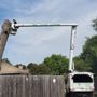 Photo of Mario's Tree Service