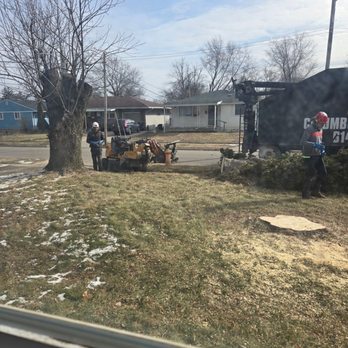 Columbus Tree Care - Tree Services Near Me Columbus Tree Care - Tree Services Near Me
