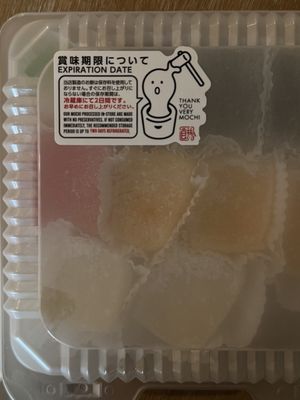 THANK YOU VERY MOCHI by null