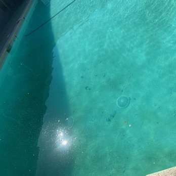 Primo Pools - Pool & Hot Tub Service Near Me