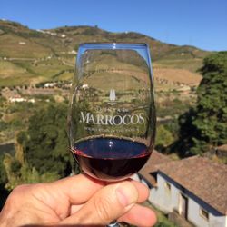 Quinta de Marrocos - Tasty