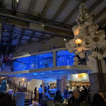 Mrs Fish - Cocktail Bars Near Me - Los Angeles, California