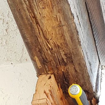 Ecoskan Pest Solutions - Termite damage extending into wall void. - Pest Control Near Me - Redlands, California