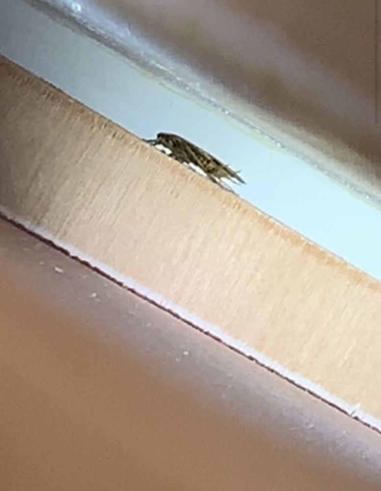 OAK TERRACE APARTMENTS 7 S Lake Dr, Hackensack, New Jersey