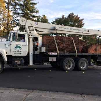 Waraner Tree Experts - Landscaping Near Me - Martinez, California Waraner Tree Experts - Landscaping Near Me - Martinez, California