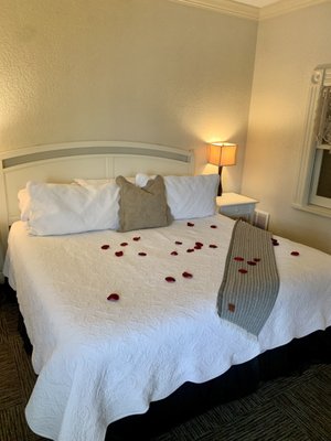 Carter House Inns & Restaurant 301 by null