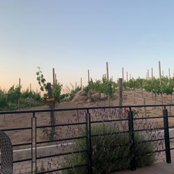 Hotel  Contemplación - Outdoor scenery