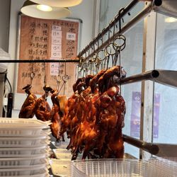 Duck & Chicken