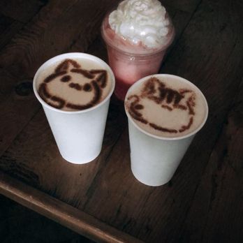 Seattle Meowtropolitan - Themed Cafes Near Me - Seattle, Washington Seattle Meowtropolitan - Themed Cafes Near Me - Seattle, Washington