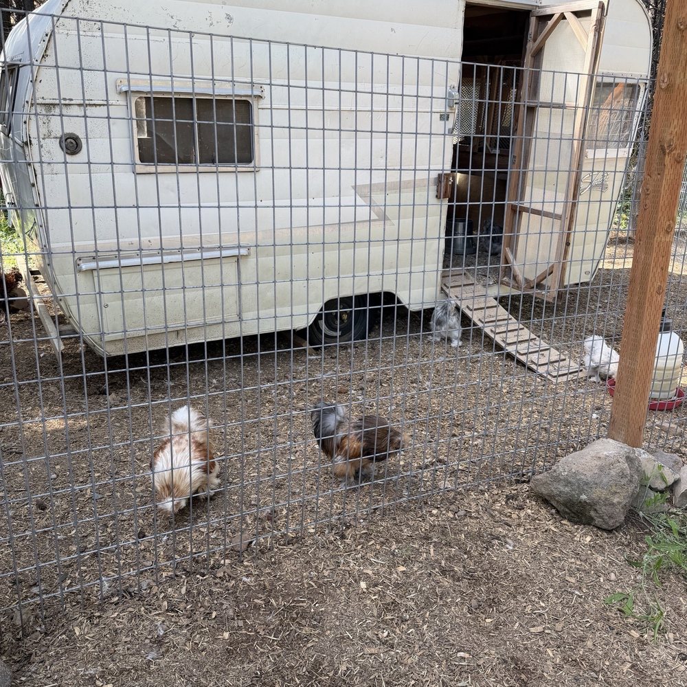 Trailer Lane Campground - RV Parks Near Me - Weed, California Trailer Lane Campground - RV Parks Near Me - Weed, California