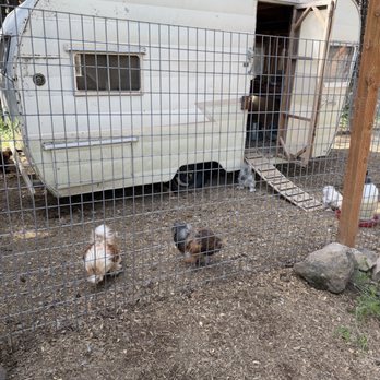 Trailer Lane Campground - RV Parks Near Me - Weed, California Trailer Lane Campground - RV Parks Near Me - Weed, California
