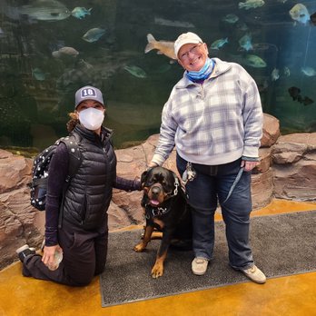 Paws-A-Tive Dog Training - Hercules Graduation Day - Pet Training Near Me - Las Vegas, Nevada