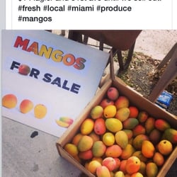 Yibbies Mango Stand