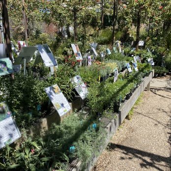 Flowerland Nursery - Nurseries & Gardening Near Me - Albany, California Flowerland Nursery - Nurseries & Gardening Near Me - Albany, California