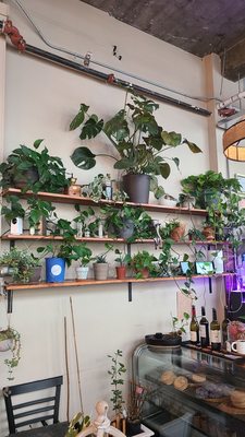 The Greenhouse Cafe & Cocktail Lounge by null