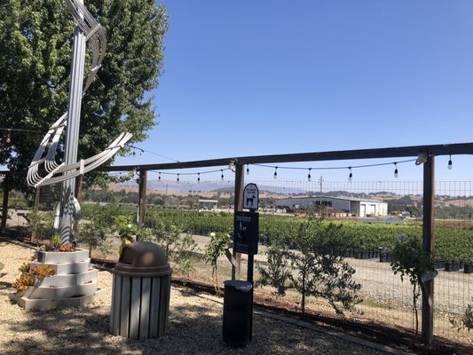 Sarah's Vineyard by null