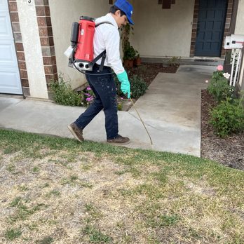 Prolific Pest Control - Pest Protection Service - Pest Control Near Me - Pasadena, California Prolific Pest Control - Pest Protection Service - Pest Control Near Me - Pasadena, California