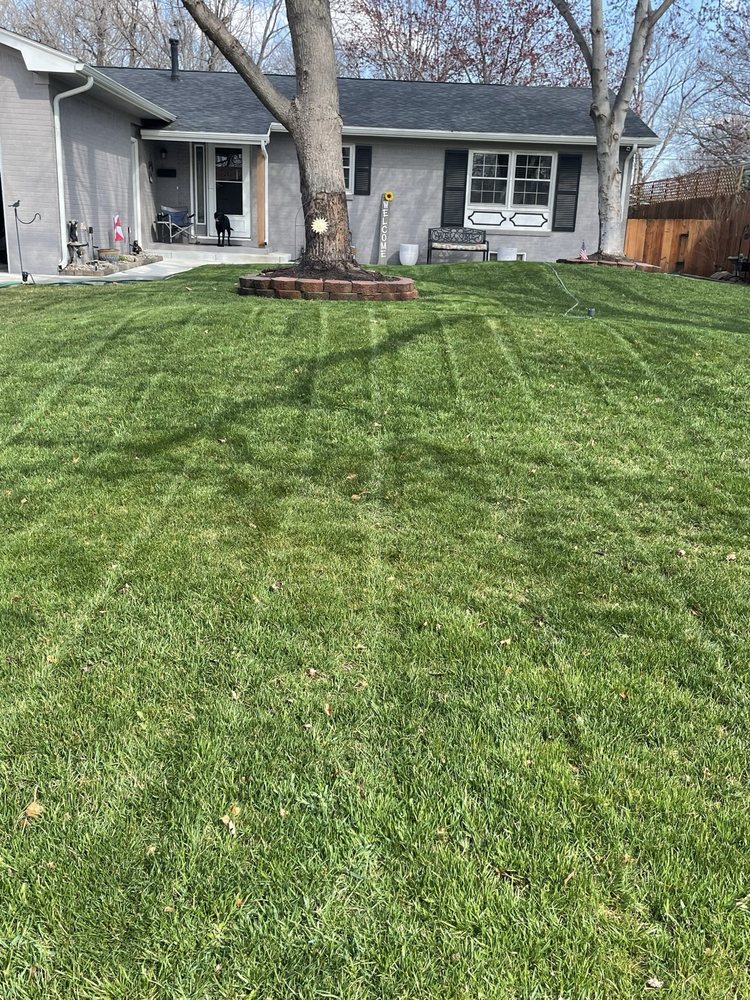 Impact Lawn Care - tree service in Wichita, KS