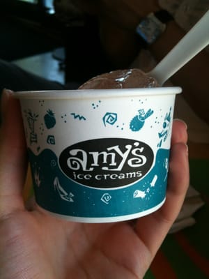 Amy's Ice Creams by null