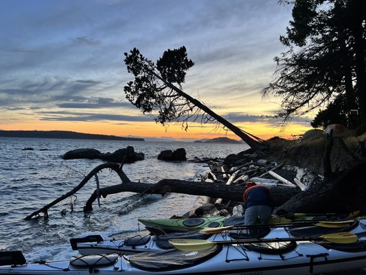 Discovery Sea Kayak Tours by null