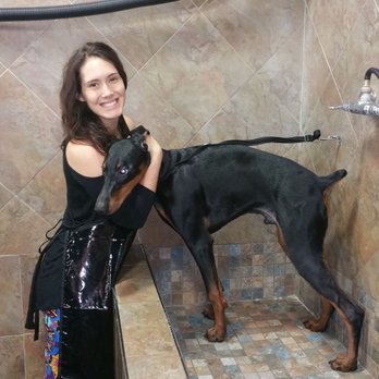 Home Towne Pet Shoppe - doggo taking a bath - Pet Stores Near Me - West Caldwell, New Jersey
