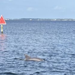 Panhandle Watersports
