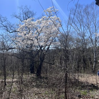 High Park - Parks Near Me - Toronto, Ontario