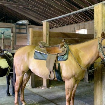 Victory Stables - Horseback Riding Near Me - Colts Neck, New Jersey