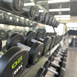 Fitness 1440 - Jackson - Iron