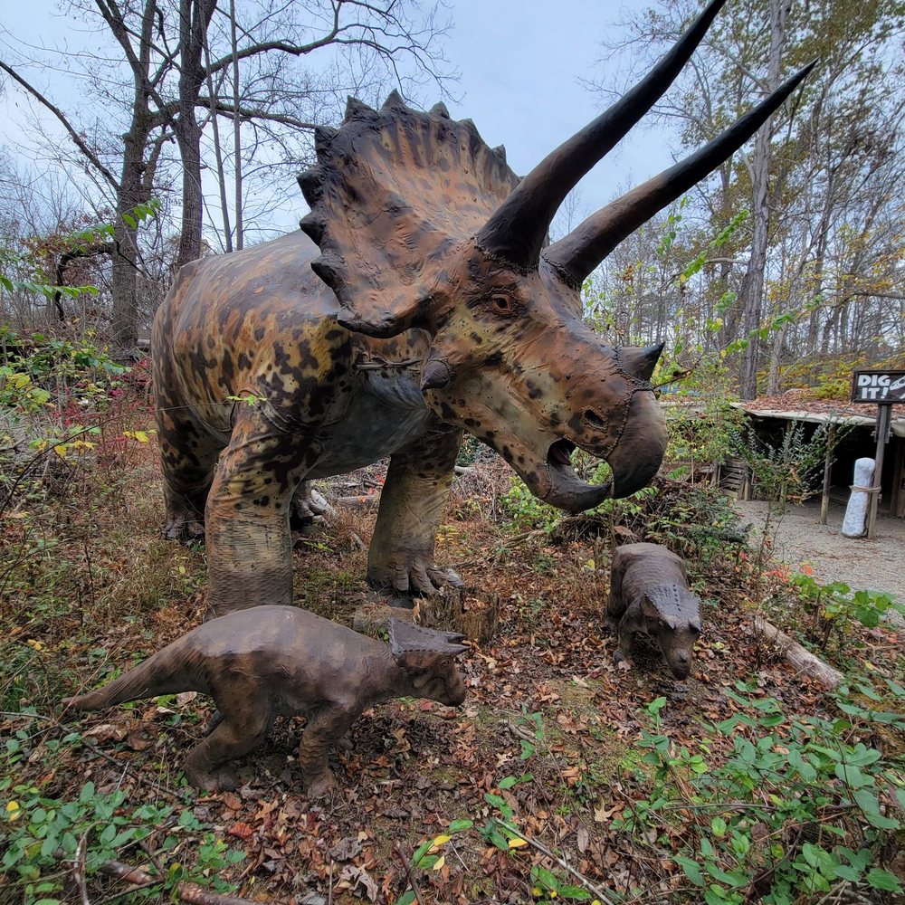 Backyard Terrors Dinosaur Park - Amusement Parks Near Me - Bluff City, Tennessee Backyard Terrors Dinosaur Park - Amusement Parks Near Me - Bluff City, Tennessee