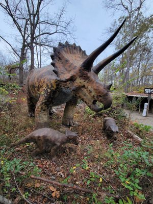 Backyard Terrors and Dinosaur Park by null
