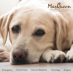 MarQueen Pet Emergency & Specialty - MarQueen Pet Emergency & Specialty Hospital welcomes new owners
